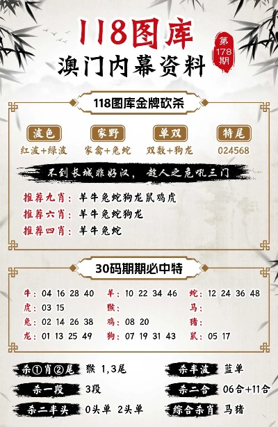 新澳最新版资料心水,综合分析解释定义_影像版46.581