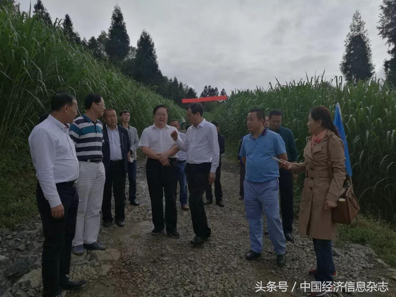 纳雍县董地乡最新消息全面解读