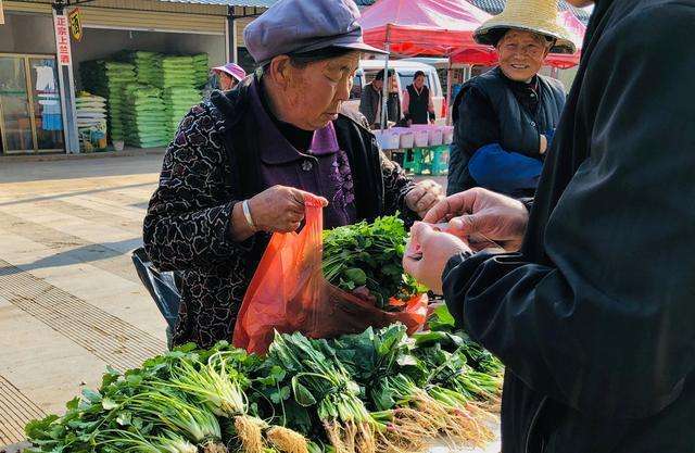 白沙洲蔬菜最新批发价格一览